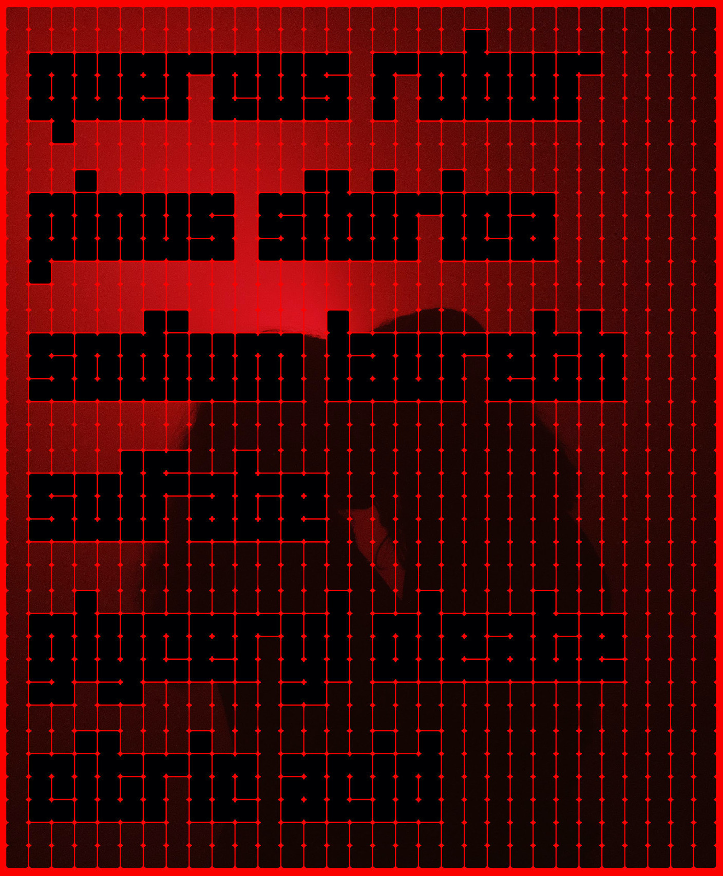 Punk Dente 01